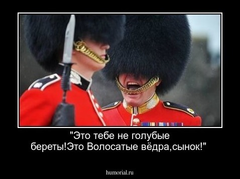 "Это тебе не голубые береты!Это Волосатые вёдра,сынок!"