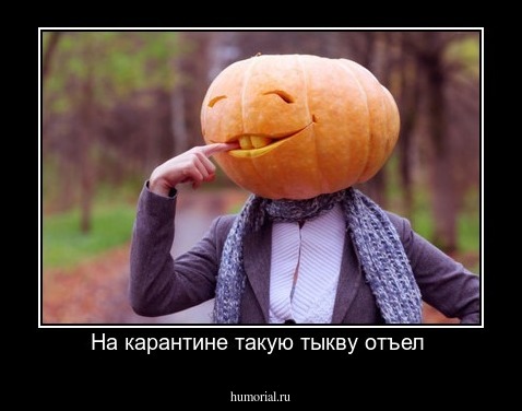 На карантине такую тыкву отъел 