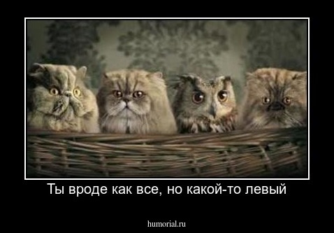 Ты вроде как все, но какой-то левый