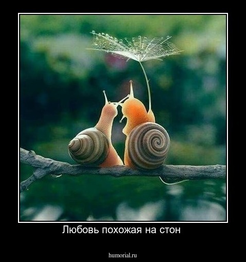 Любовь похожая на стон 