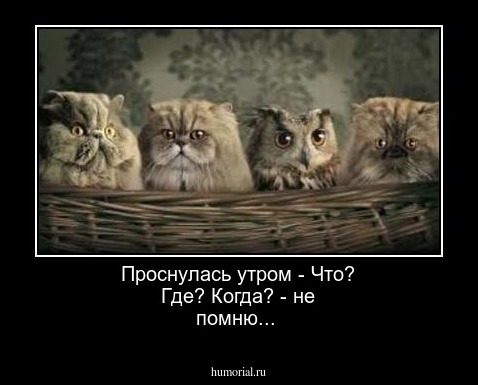 Проснулась утром - Что? Где? Когда? - не помню...