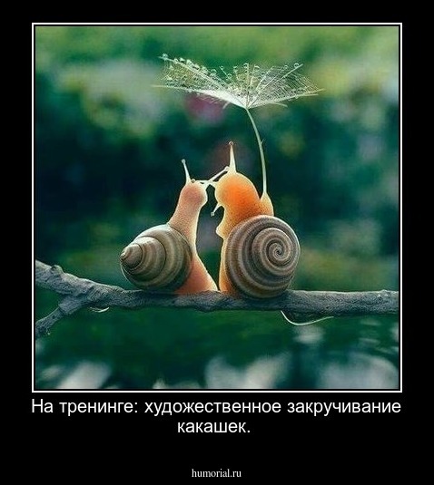 На тренинге: художественное закручивание какашек.
