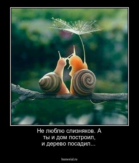 Не люблю слизняков. А ты и дом построил, и дерево посадил...