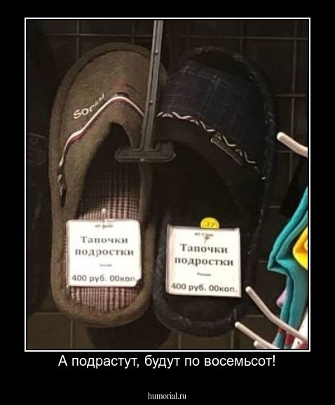 А подрастут, будут по восемьсот!