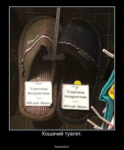 Кошачий туалет.