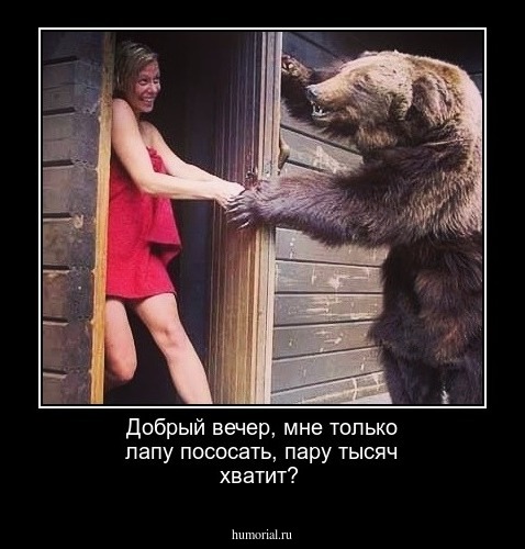 Добрый вечер, мне только лапу пососать, пару тысяч хватит?