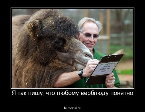 Я так пишу, что любому верблюду понятно