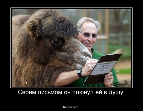 Своим письмом он плюнул ей в душу 