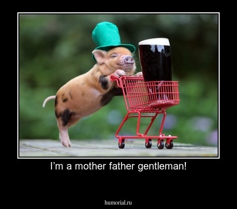 I’m a mother father gentleman!
