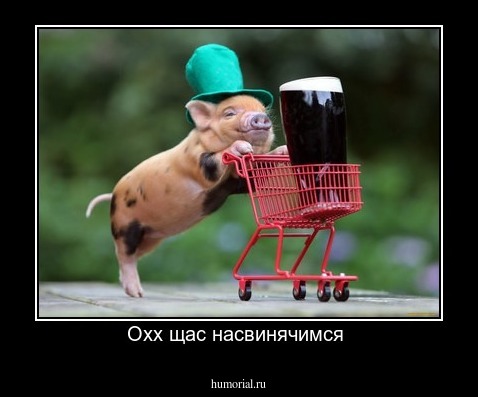 Охх щас насвинячимся 