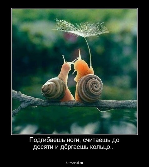 Подгибаешь ноги, считаешь до десяти и дёргаешь кольцо..