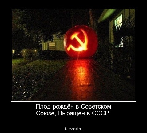 Плод рождён в Советском Союзе,
Выращен в СССР 