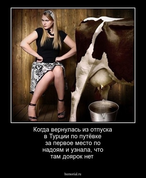 Когда вернулась из отпуска в Турции по путёвке за первое место по надоям и узнала, что там доярок нет