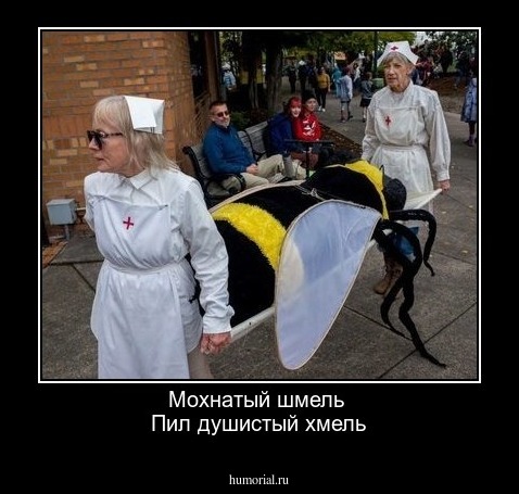 Мохнатый шмель 
Пил душистый хмель