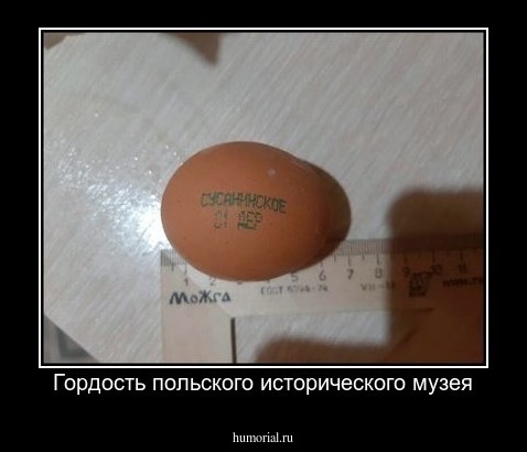 Гордость польского исторического музея