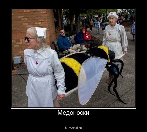 Медоноски
