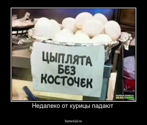 Недалеко от курицы падают 