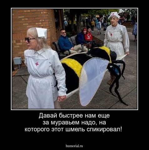 Давай быстрее нам еще за муравьем надо, на которого этот шмель спикировал! 