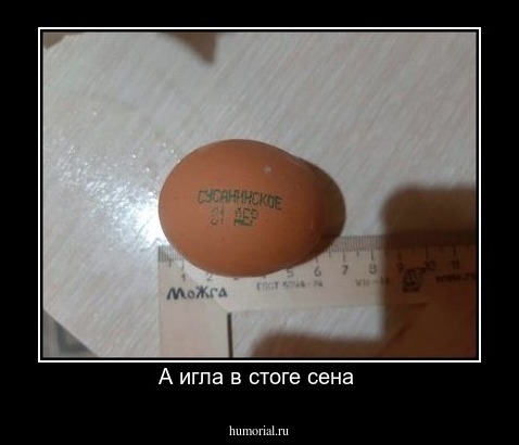 А игла в стоге сена 