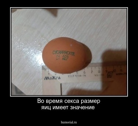 Во время секса размер яиц имеет значение 