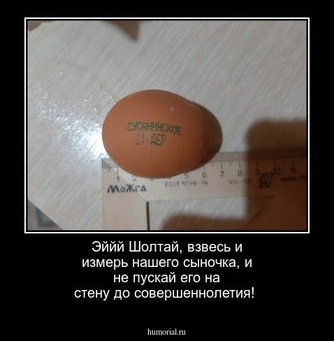 Эййй Шолтай, взвесь и измерь нашего сыночка, и не пускай его на стену до совершеннолетия!