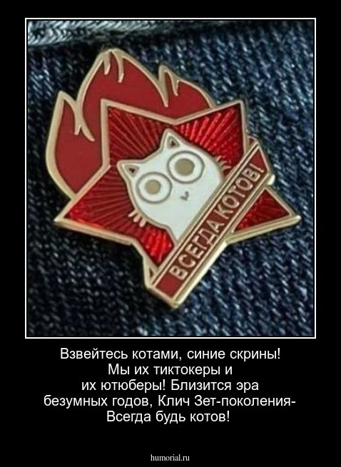 Взвейтесь котами, синие скрины!
Мы их тиктокеры и их ютюберы!
Близится эра безумных годов, 
Клич Зет-поколения- Всегда будь котов!