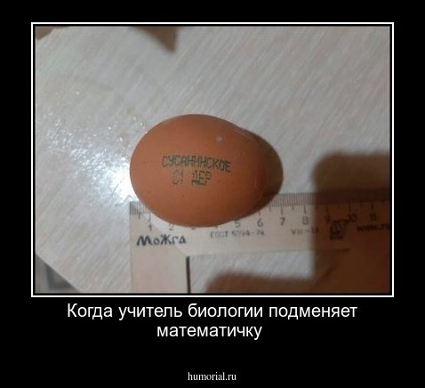 Когда учитель биологии подменяет математичку