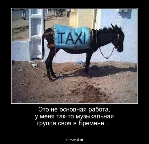 Это не основная работа, у меня так-то музыкальная группа своя в Бремене...