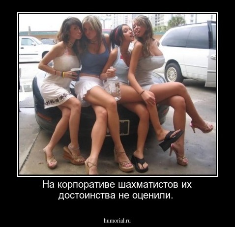 На корпоративе шахматистов их достоинства не оценили.