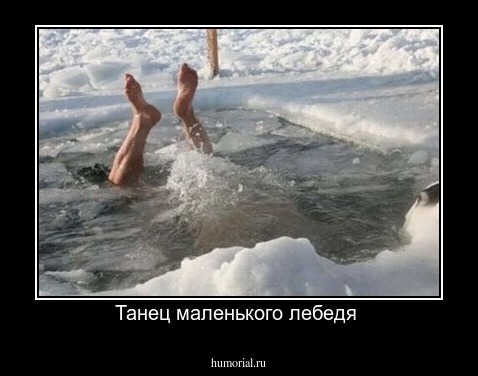 Танец маленького лебедя 