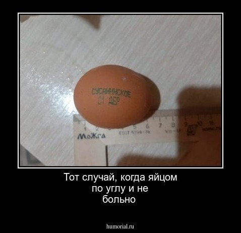 Тот случай, когда яйцом по углу и не больно