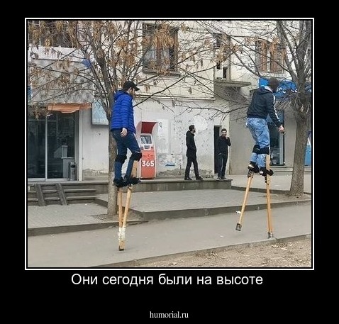 Они сегодня были на высоте 