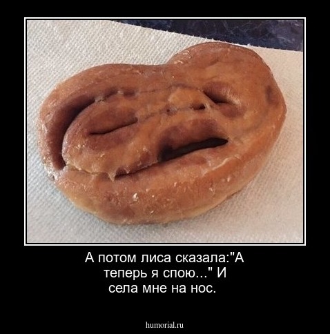 А потом лиса сказала:"А теперь я спою..." И села мне на нос.