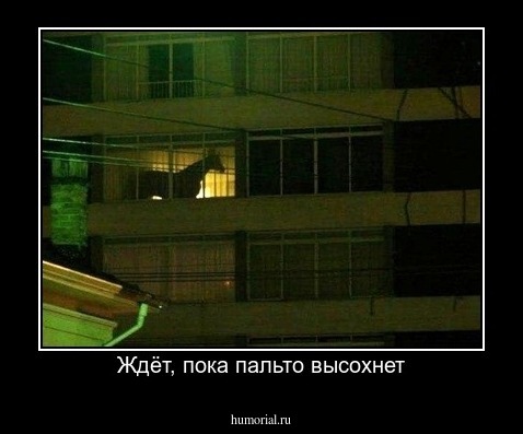 Ждёт, пока пальто высохнет