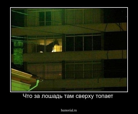 Что за лошадь там сверху топает 