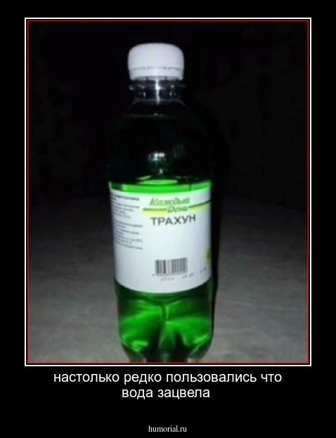 настолько редко пользовались что вода зацвела