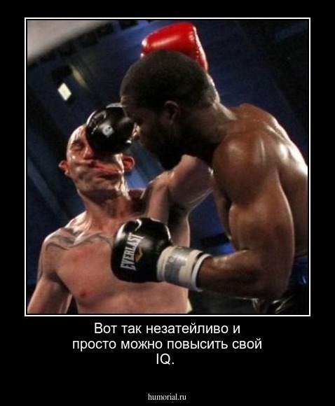 Вот так незатейливо и просто можно повысить свой IQ.