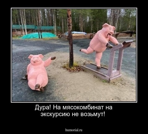 Дура! На мясокомбинат на экскурсию не возьмут!