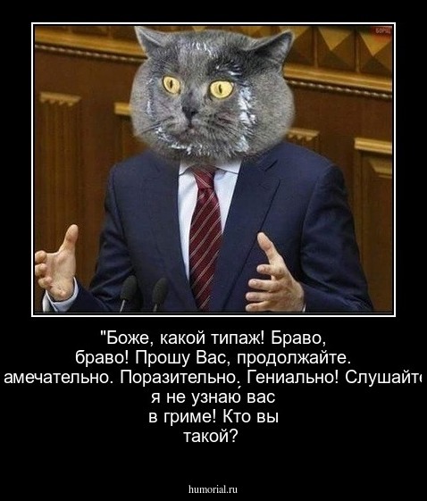 "Боже, какой типаж! Браво, браво! Прошу Вас, продолжайте. Замечательно. Поразительно. Гениально! Слушайте, я не узнаю́ вас в гриме! Кто вы такой? 