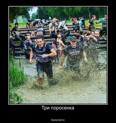 Три поросенка