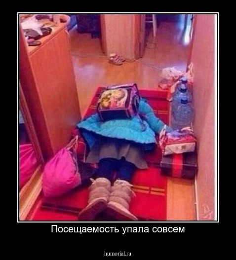Посещаемость упала совсем