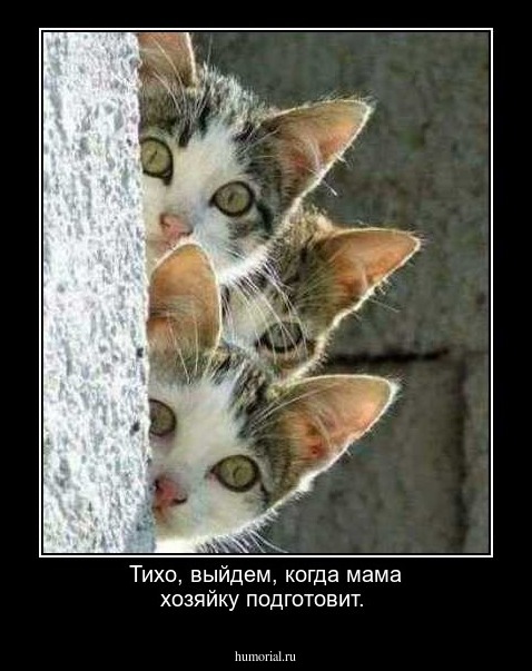Тихо, выйдем, когда мама хозяйку подготовит.