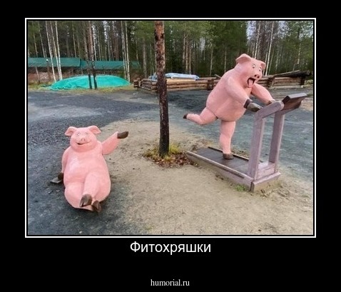 Фитохряшки