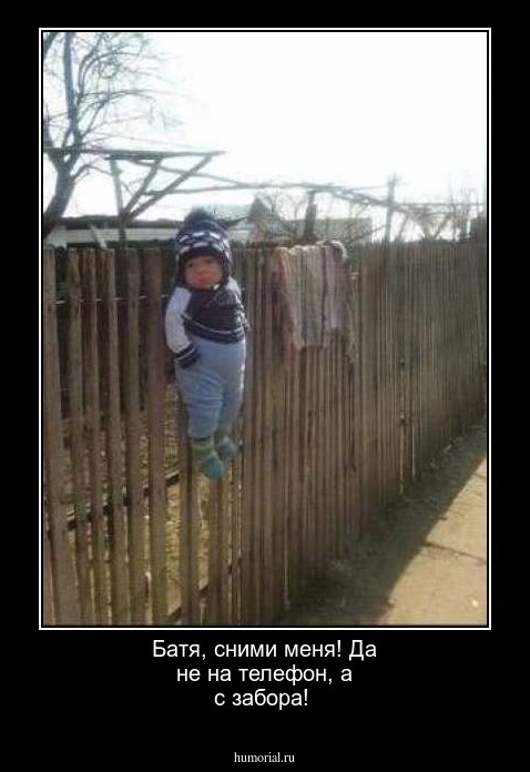Батя, сними меня! Да не на телефон, а с забора! 
