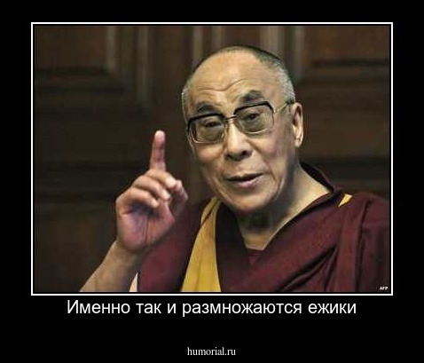 Именно так и размножаются ежики