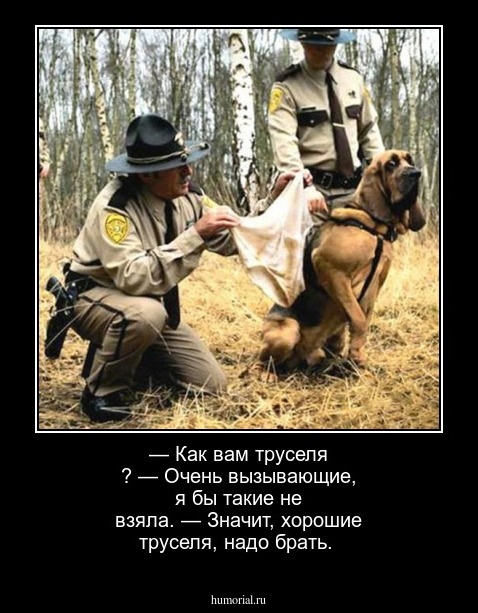 — Как вам труселя ?
— Очень вызывающие, я бы такие не взяла.
— Значит, хорошие труселя, надо брать.