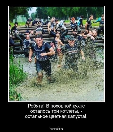 Ребята! В походной кухне осталось три котлеты, - остальное цветная капуста!