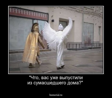 "Что, вас уже выпустили из сумасшедшего дома?" 