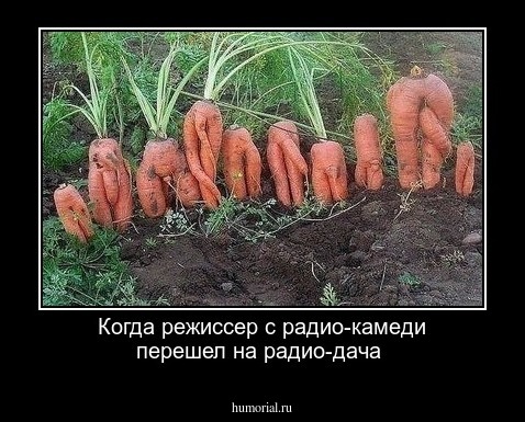 Когда режиссер с радио-камеди перешел на радио-дача