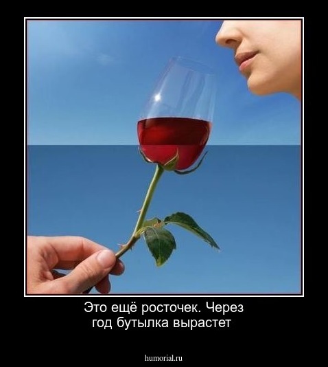Это ещё росточек. Через год бутылка вырастет